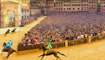 Siena Palio Horse Race